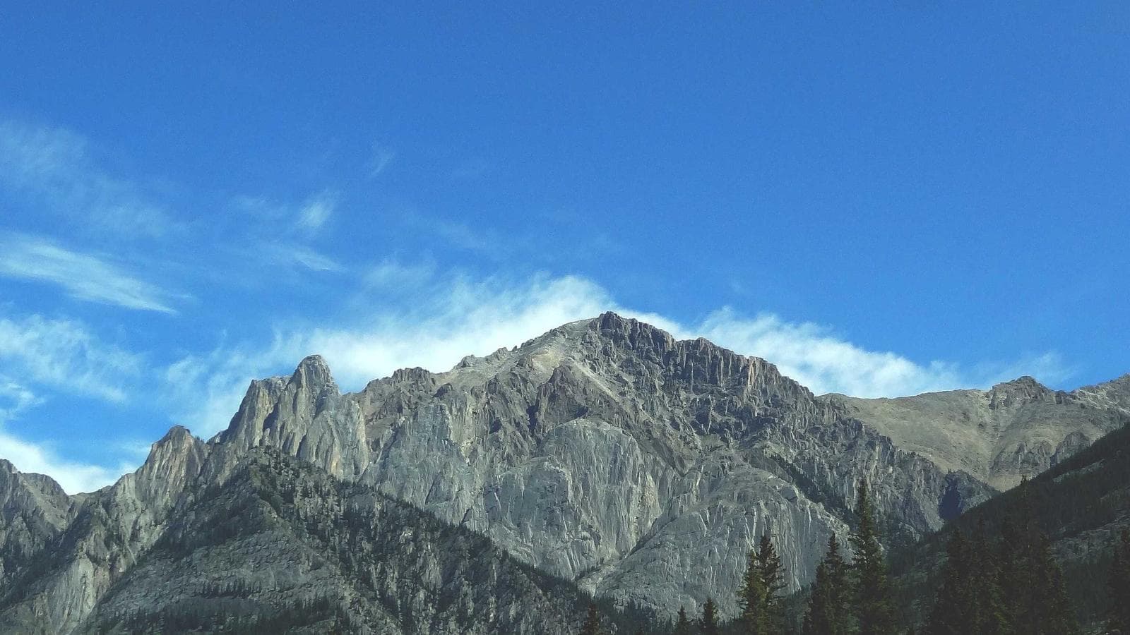 La revolución creativa